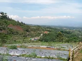 Dijual lg BU Lahan View Gunung di ketinggian 900MDPL