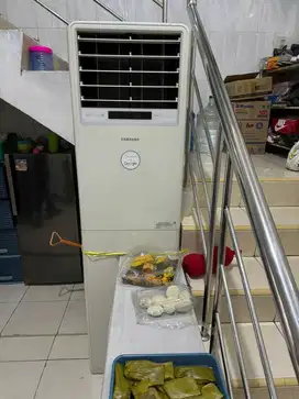 AC Samsung 3 PK Standing