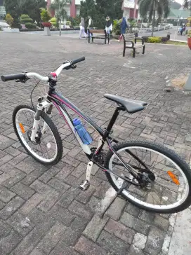 Sepeda polygon cleo