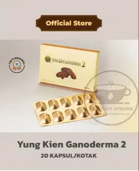 Shuang Hor Yung Kien Ganoderma 2