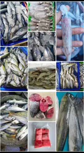 Menjual macam macam seafood