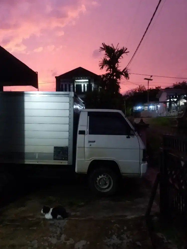 L300 tahun atau Bison 2014