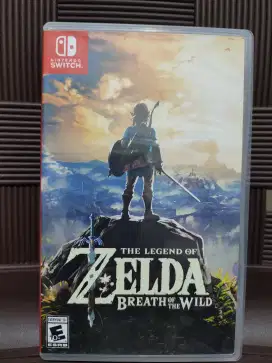 Nintendo Switch The Legend of Zelda