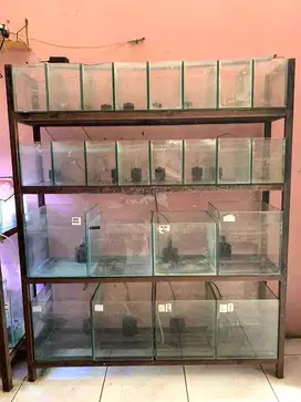 Rak besi hollow 4susun+aquarium+bonus 1radiator resun
