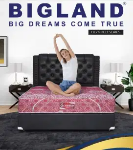 Promo Ks Sprg Bigland uk 160