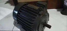 Dinamo Induction Motor