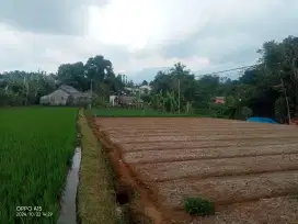 Dijual tanah
Lokasi Kawasan agrowisata Kadudampit