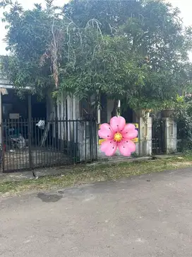 Dijual Rumah Perlu Renovasi Di Indraprasta Bogor Utara