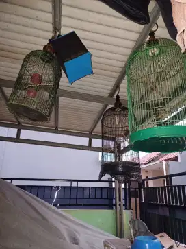 Jual Murah 3 kandang burung besi borongan bonus kandang jangkrik