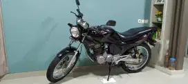 Jual Tiger Lawas istimewa
