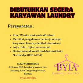 DICARI / DIBUTUHKAN KARYAWAN LAUNDRY BSD AREA