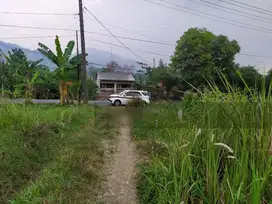 Tanah Datar Siap Bangun Luas 1,6 Ha Strategis Di Cigudeg Bogor