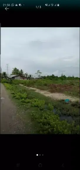 dijual tanah didesa simpang lhee langsa barat