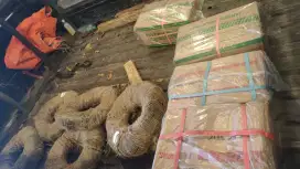 Jual paku murah surabaya
