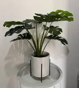 Bunga Monstera Artificial 60 cm Termasuk Pot Keramik