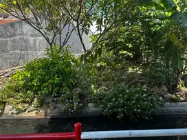 Di Jual BU Tanah Pekarangan di Sorosutan Ps Telo Kodya Jogja