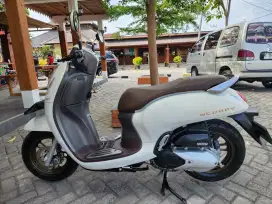 Honda Scoopy Prestige , TH 2024 , KM rendah