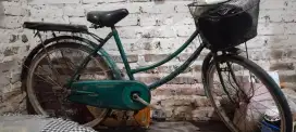 Sepeda mini phoenik