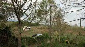 Tanah Kebun Durian Bulukerto Bumiaji Kota Batu