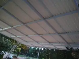 Canopy alderon RS holo galvanis dll