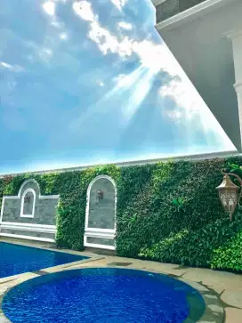 TUKANG TAMAN VERTIKAL TANGERANG