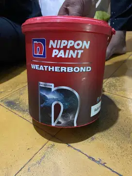 Nippon paint weatherbond