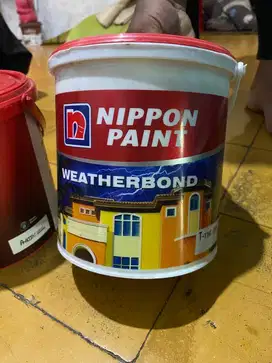 Nippon paint weatherbond