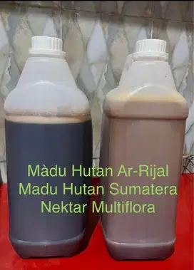 Madu Hutan Sialang Riau