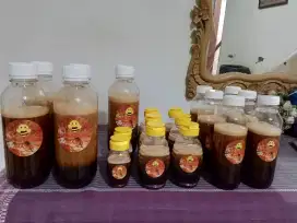 Madu Murni Akasia