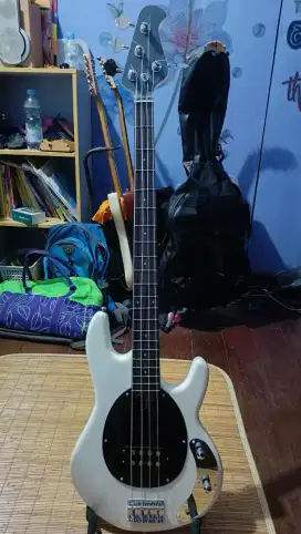 Bass Pemula model Musicman