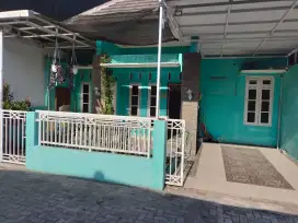 Rumah disewakan
