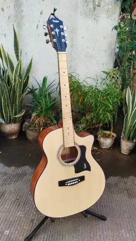 Gitar Akustik Taylor Custom Baru Murah