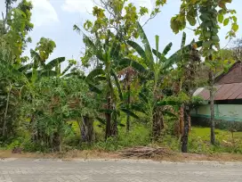 Tanah Strategis di Tempuran, Paron, Ngawi