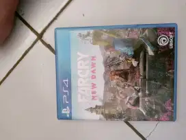 Far cry new dawn