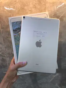 Ipad Pro 2017 256GB Cellular Resmi iBox Fullsett