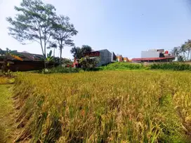 Tanah SHM 1.034 m² di Pusat Kota Cianjur