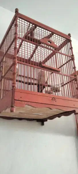 Burung puter dah bunyi kuk geru kok