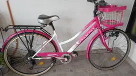sepeda merk phoenix