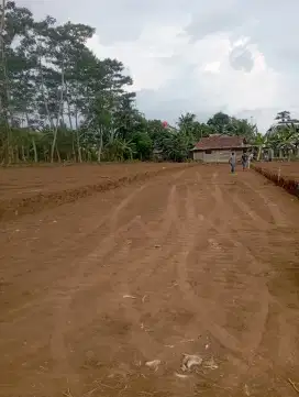 Kapling rumah kos kampus UMP Purwokerto