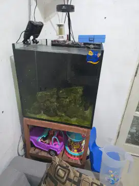 Jual Aquarium Ikan Laut