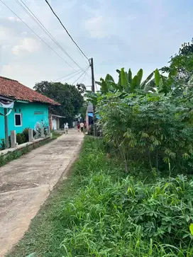 Dijual tanah diblkg pasar parung kiri cocok untuk pemukiman/kontrakan