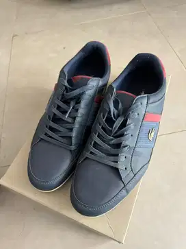 Sepatu Asli Lacoste Casual Pria