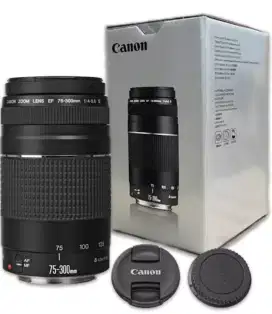 KREDIT EF Zoom Lensa Canon EF75-300mm f/4-5.6 III promo Bunga 1.77%