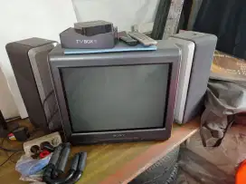 TV SONY TRINITRON 21 PLUS SPEAKER