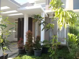 Disewakan Rumah Minimalis Siap Huni Malang