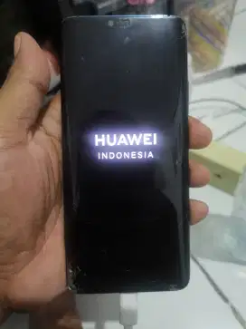 Huawei Mate 20 Pro kondisi bootlop