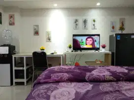 Disewakan apartemen spring lake view tower elodea