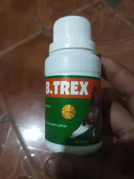 B TREX Baron Burung Dara Merpati