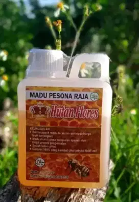 JUAL MADU ASLI MURNI HUTAN FLORES DI SOLO