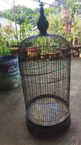 Kandang burung lovebird